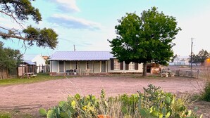 A rustic building with a corrugated metal roof, surrounded by a fenced yard with cacti and a large tree.