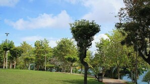 Un parc avec un banc, des arbres et un sentier menant à un plan d’eau.