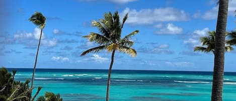 Playa