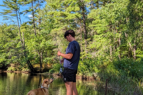 Pet-friendly