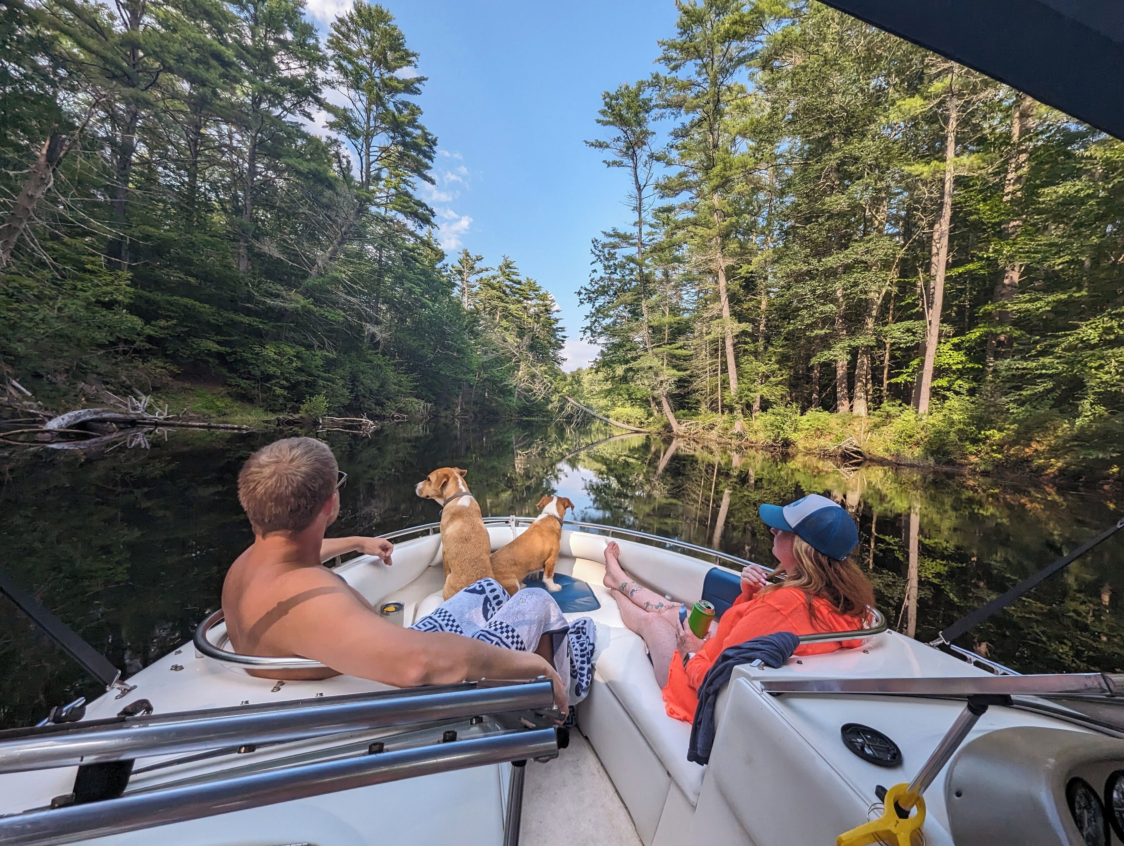 A boat with two people and two dogs, surrounded by dense forest and calm water.