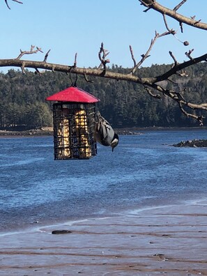 Aan het strand, ligstoelen aan het strand, strandlakens