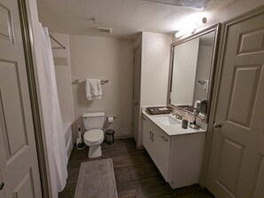 Hair dryer, towels - The Green Room 2.0 - 1BD/1BA near NASA JSC (Houston)
