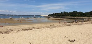 A sandy beach with boats and people.