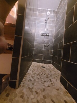 Shower, hair dryer, toilet paper
