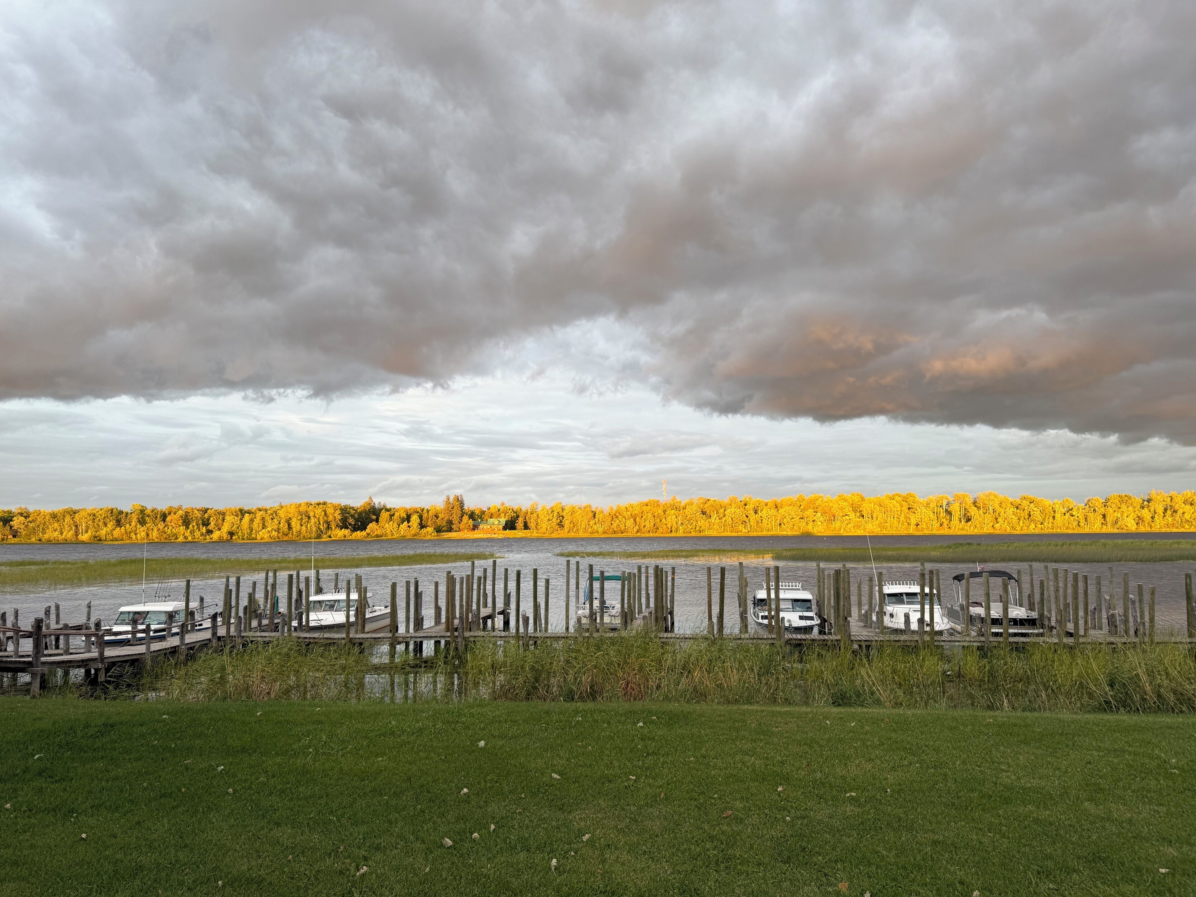 A lakeside view with docked boats, a grassy foreground, and a forest in autumn colors.