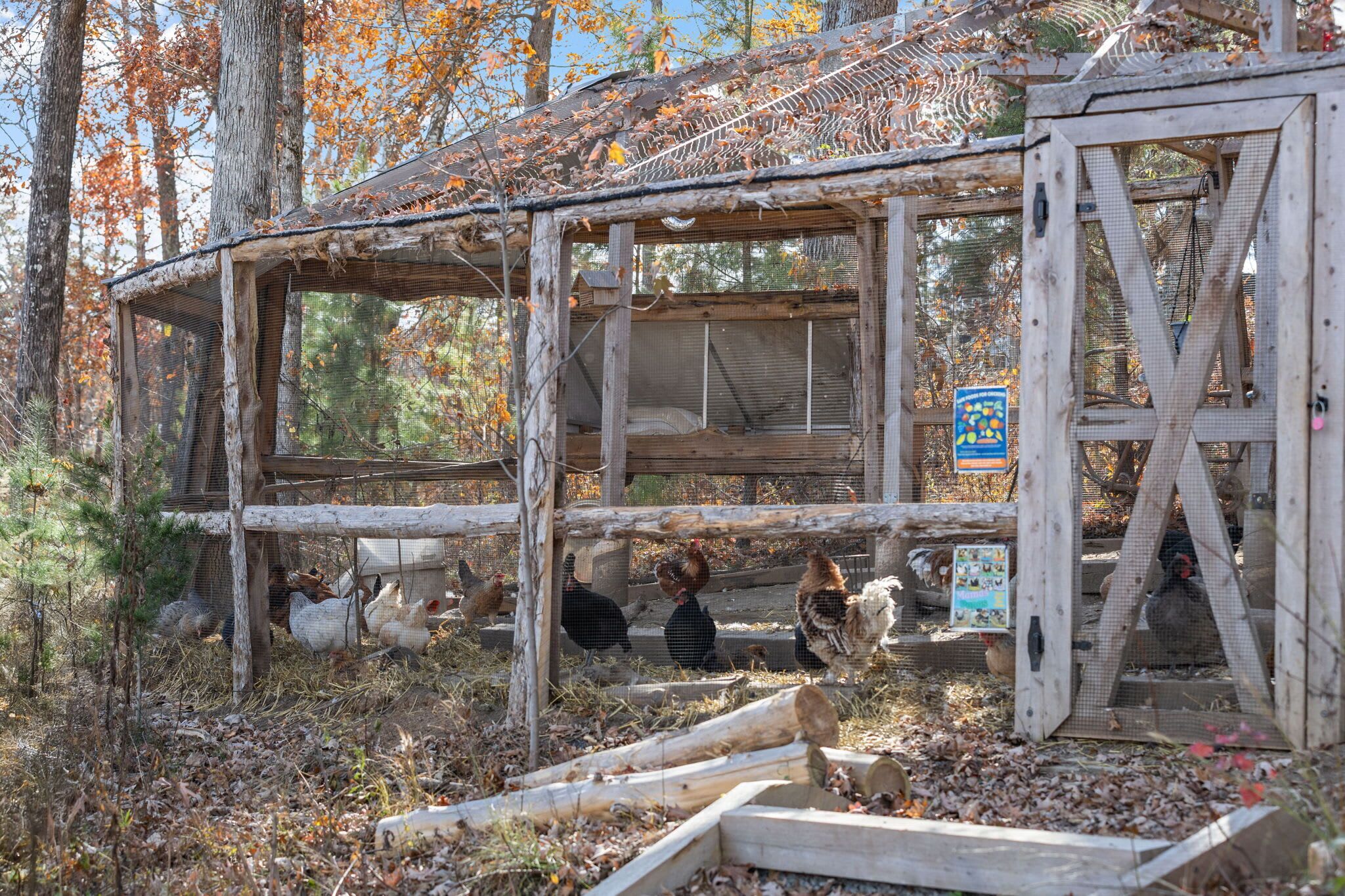 A rustic wooden structure with a fenced area for chickens, surrounded by trees and natural setting.