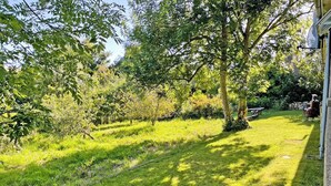 Un prato curato con alberi e un muro in pietra.