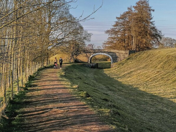 A pathway with a stone bridge, surrounded by trees and grassy areas.