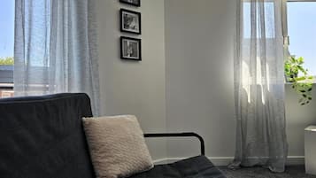 Flat-screen TV