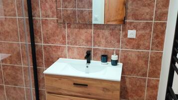 Douche, séchoir à cheveux, serviettes fournies, papier de toilette