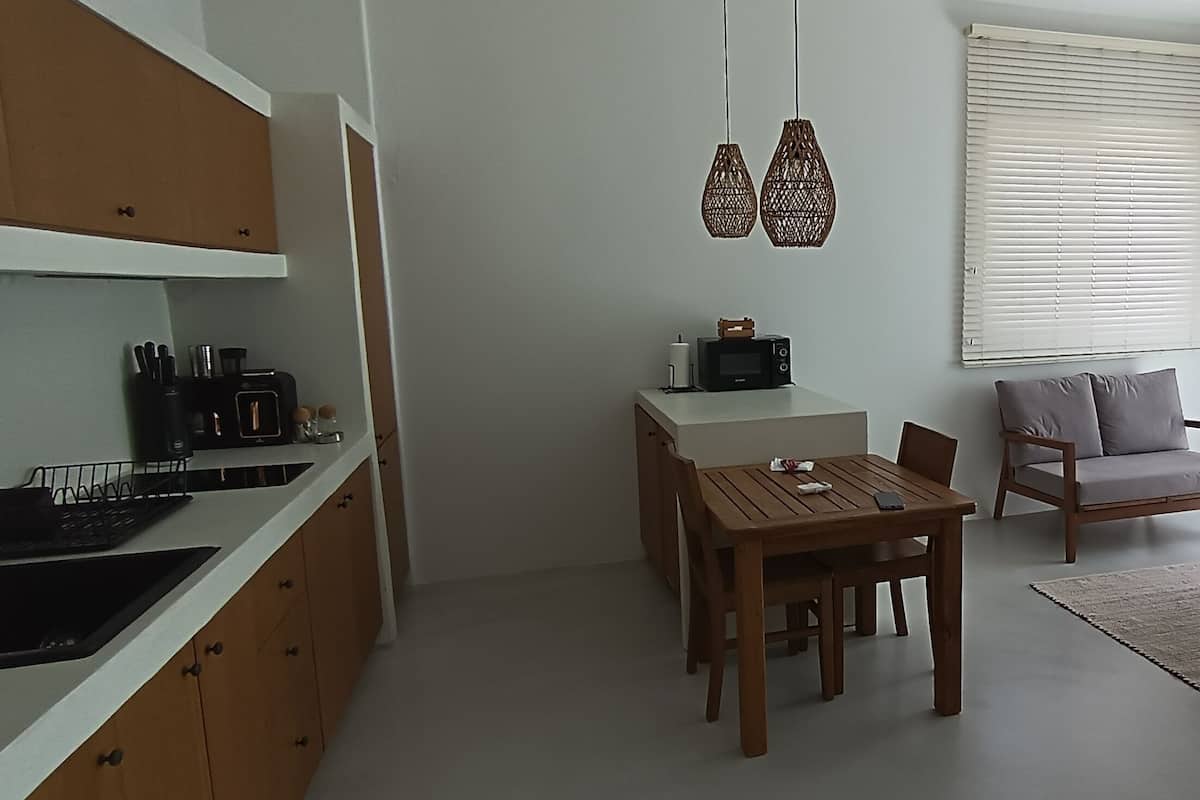 A compact living space with a kitchenette, a dining area, and a seating area with a sofa and chairs.