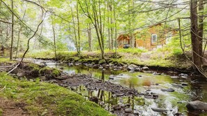 A cabin in a forest with a stream.