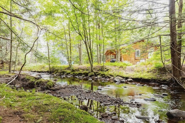A cabin in a forest with a stream.
