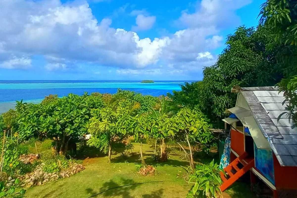 Un jardin luxuriant offrant une vue sur l’océan et une petite île.