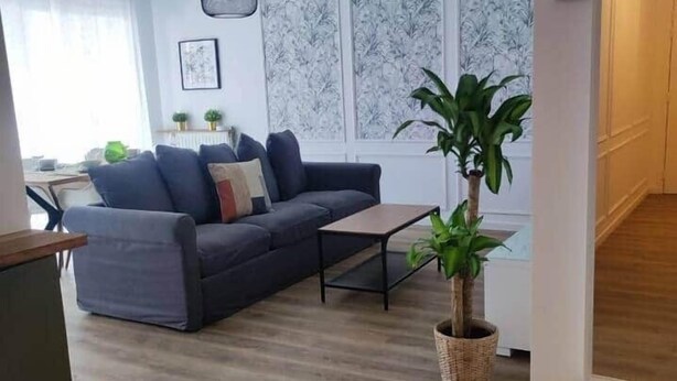 Ein Wohnzimmer mit einer Couch, einem Couchtisch und einer Zimmerpflanze.