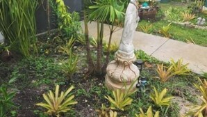 Ein Garten mit verschiedenen Pflanzen und einer Statue.