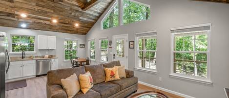 TV connectée, cheminée, lecteur de DVD, livres