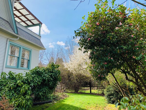 Exterior - 250 N Adams St (Eugene)