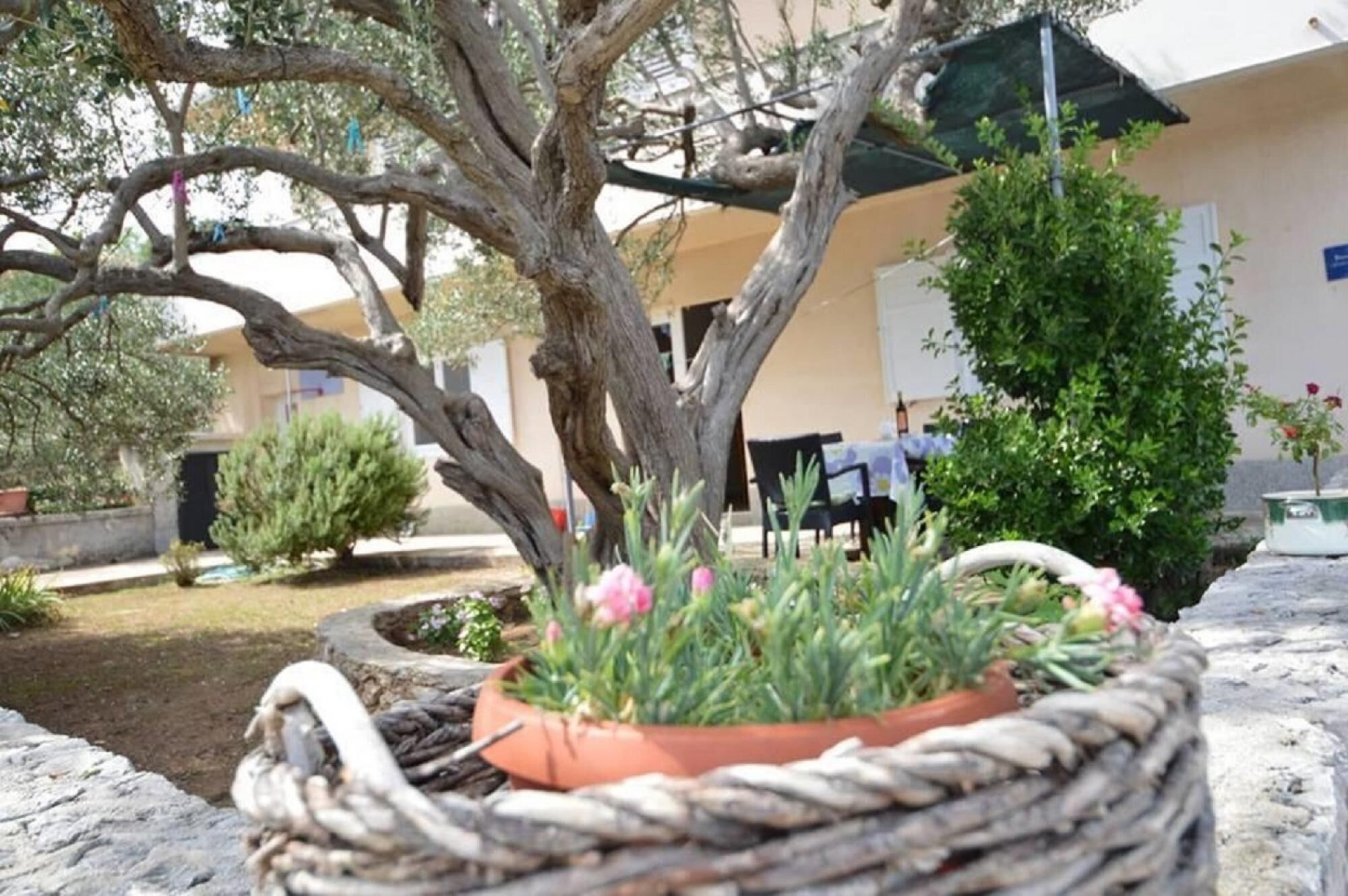 Apartment, Smoking | 3 bedrooms