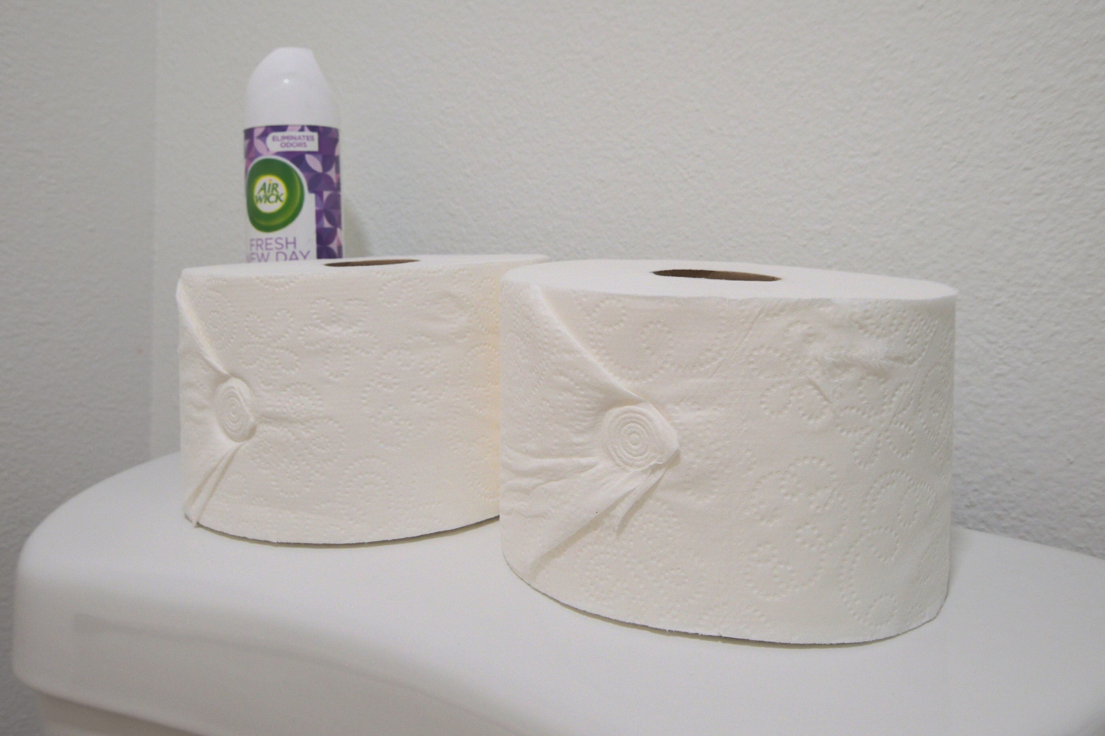 Two rolls of toilet paper on a white shelf.