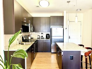 Private kitchen - Luxury Quiet 1BR Tysons Apt Great for Business Travelers (Tysons)