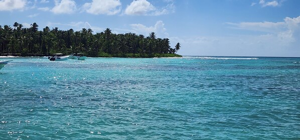 Ein tropischer Strand mit klarem, türkisblauem Wasser, Booten und einer dichten Palmenlinie.
