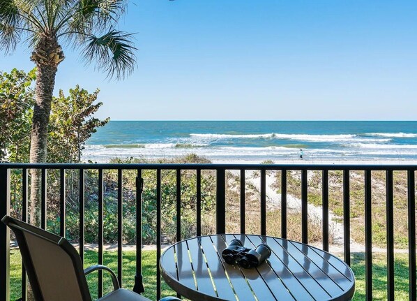 Property grounds - Christmas Week Special! Beautiful Beachfront! 2 King bdrm 2 bath W&D in unit (Indian Rocks Beach)