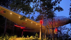 A large aircraft with a red tail light, surrounded by trees and ferns. - Stay in a Piece of History! 1941 WWII Douglas DC-3 Airliner (Deerbrook)