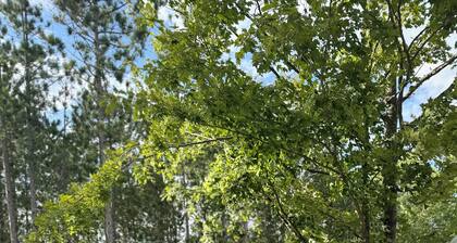 Stay in a Piece of History! 1941 WWII Douglas DC-3 Airliner