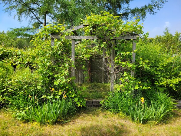 Property grounds - Walking distance to Acadia National Park.Great location! private! Beautiful yard (Winter Harbor)