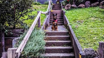 Overnatningsstedets område