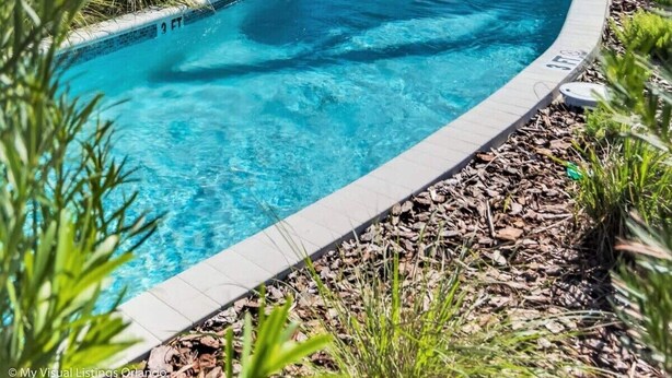 A clear blue pool with a wooden bridge, surrounded by palm trees and lounge chairs.
