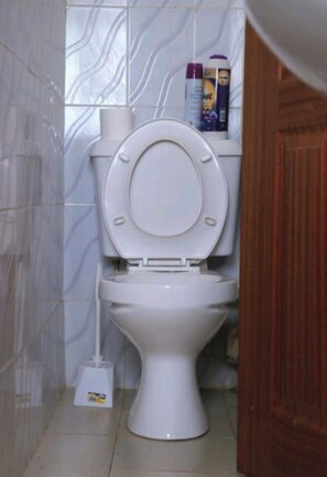 Chuveiro, toalhas de banho, sabonete, papel higiênico