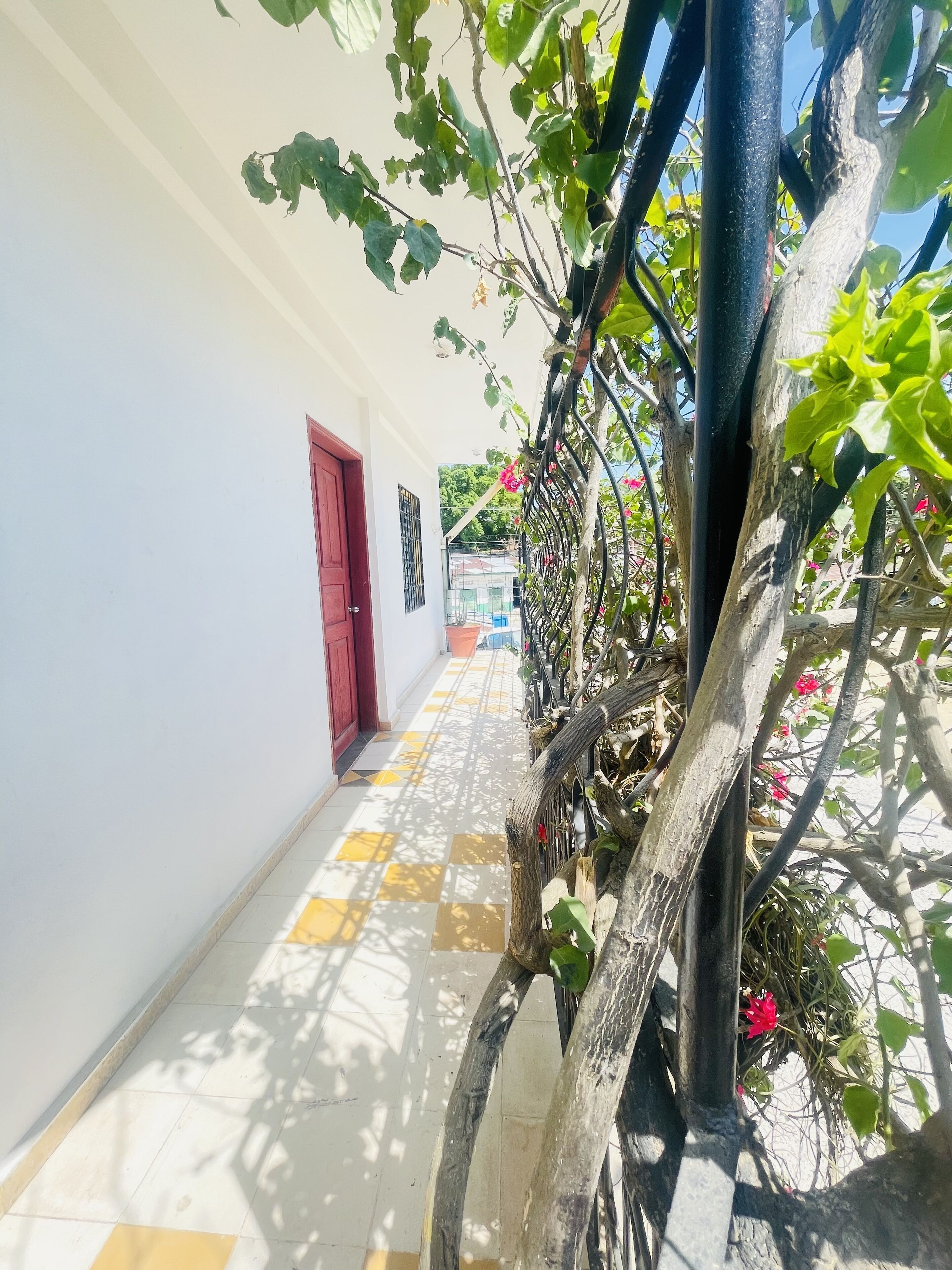 Un couloir avec un sol carrelé, une porte rouge et un arbre aux feuilles vertes.