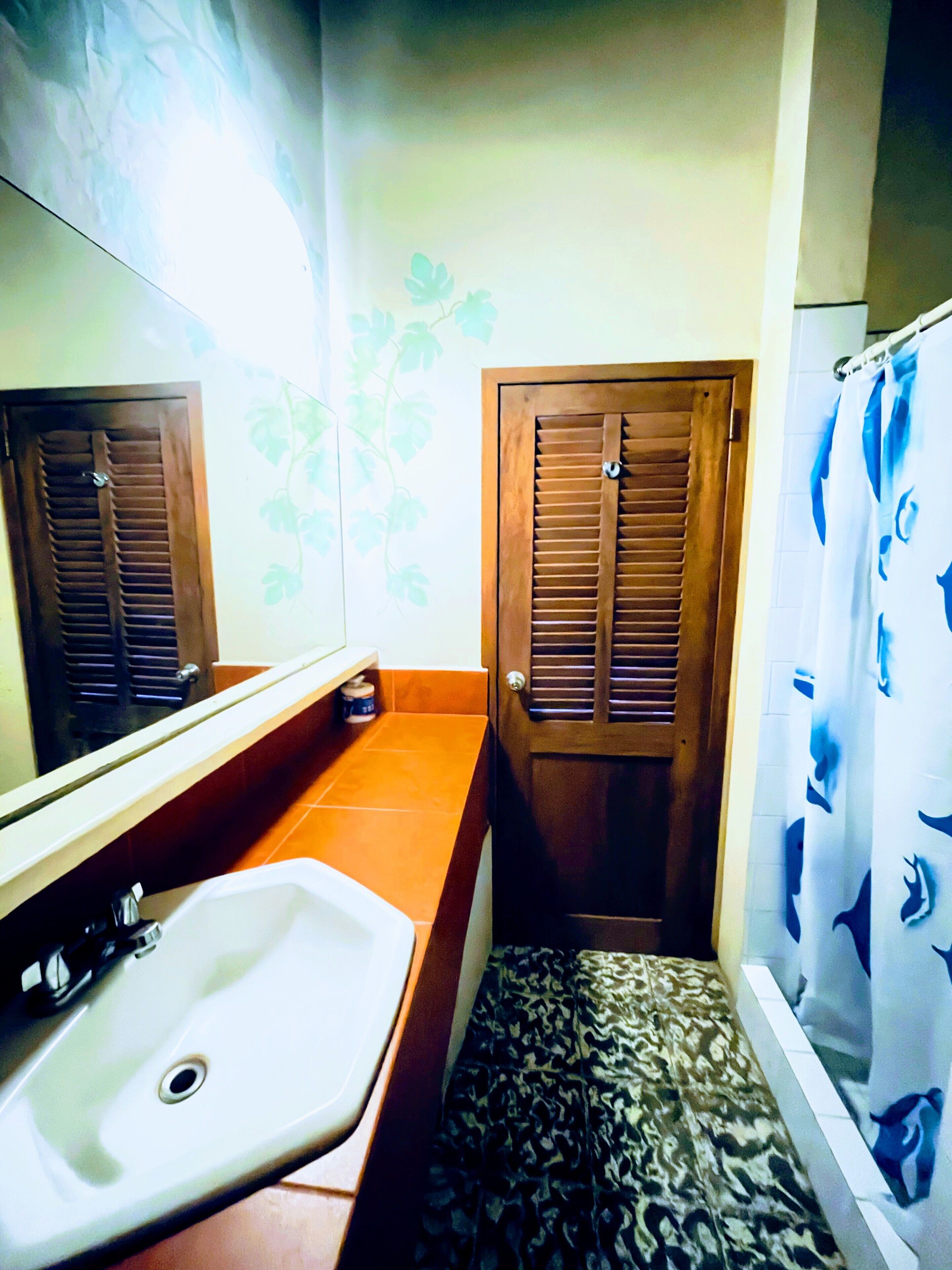 A bathroom with a sink, mirror, wooden door, and patterned shower curtain.