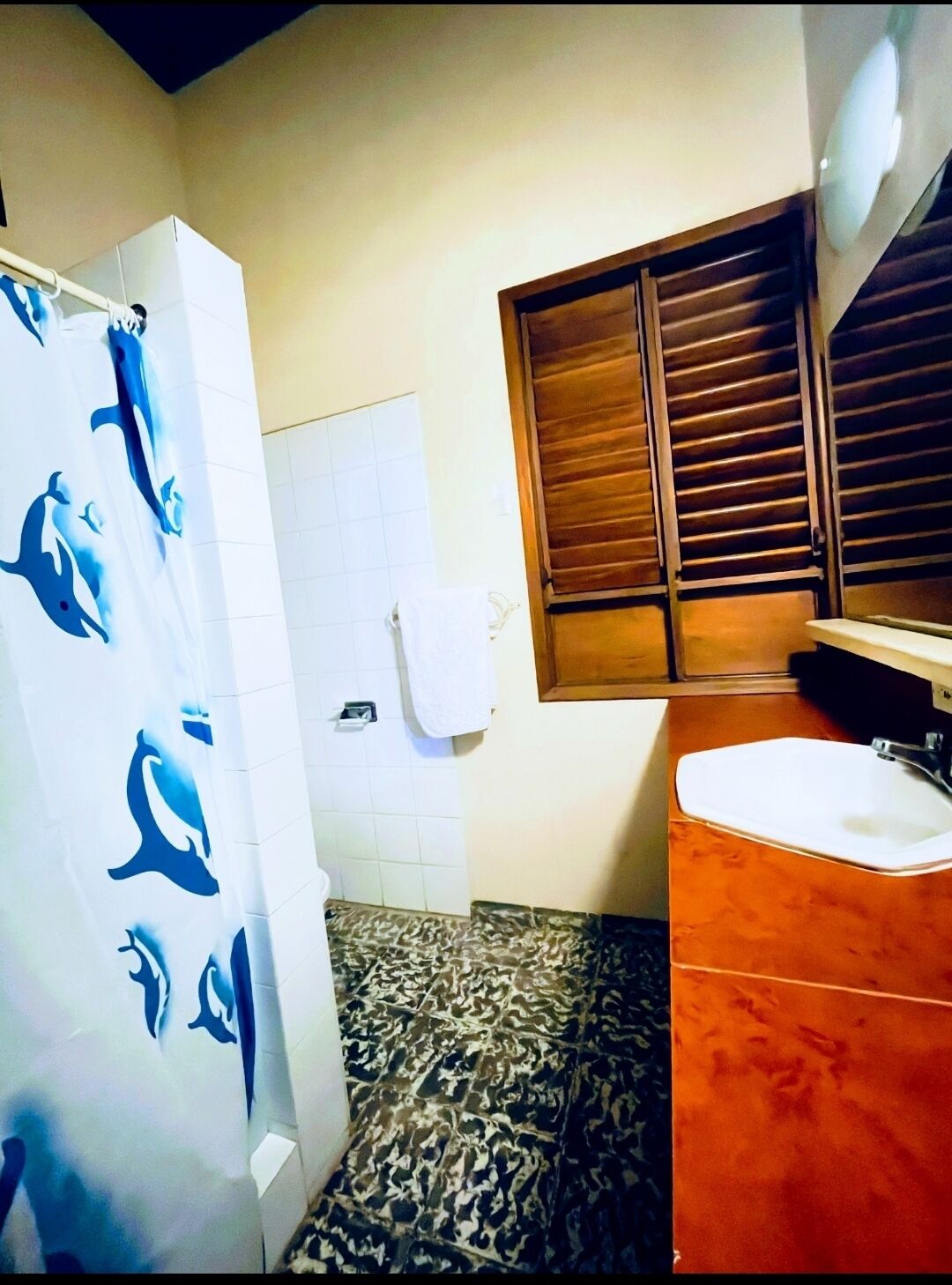 A bathroom with a shower curtain featuring dolphin designs, a white sink, and a window with wooden shutters.