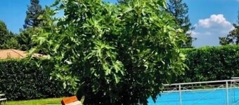 Apartment Enjoy tourist lease a stone's throw from the town center