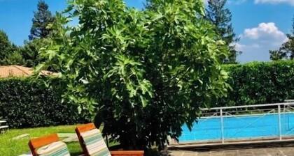 Apartment Enjoy tourist lease a stone's throw from the town center