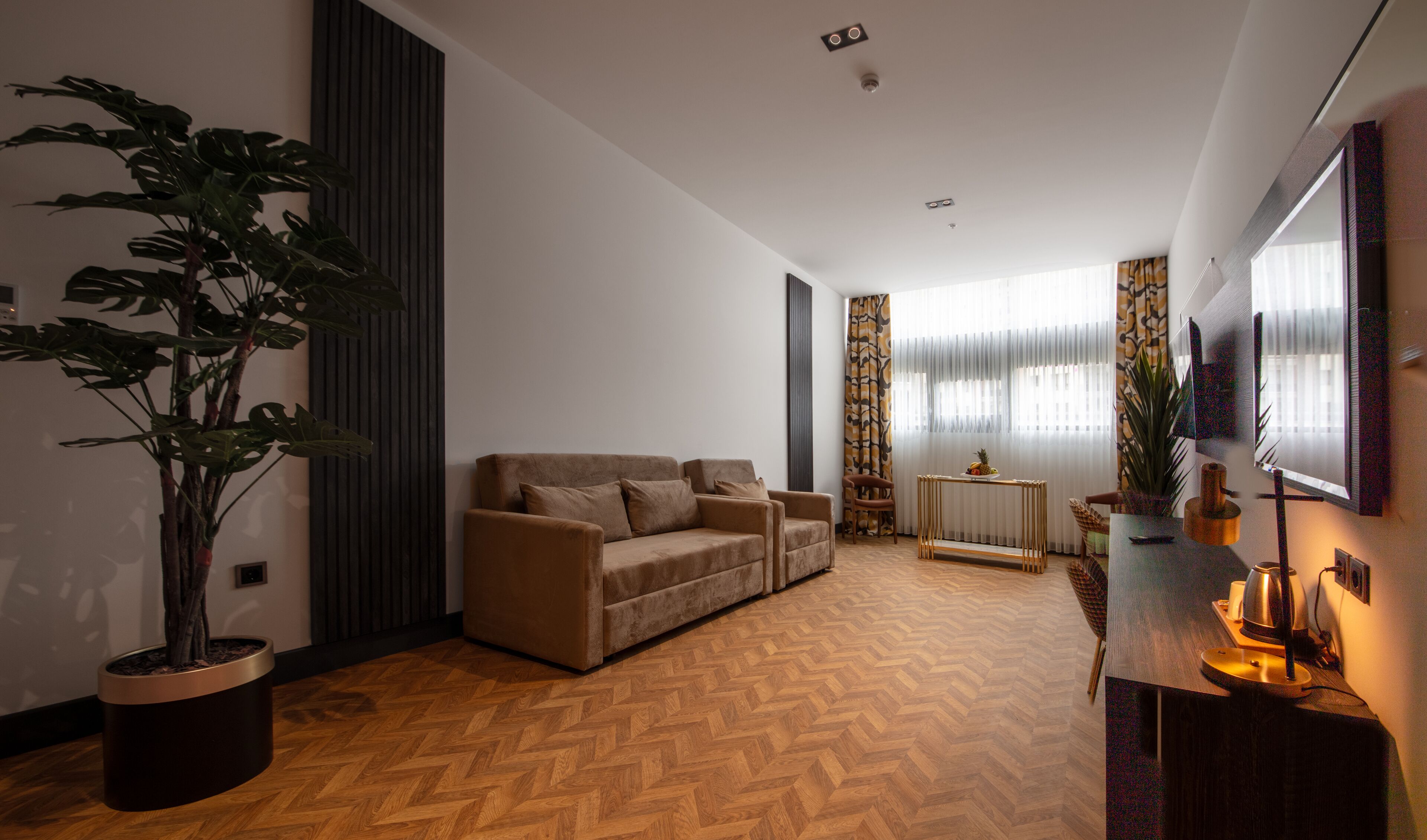 A modern living room with a sofa, a large potted plant, and a television mounted on the wall.