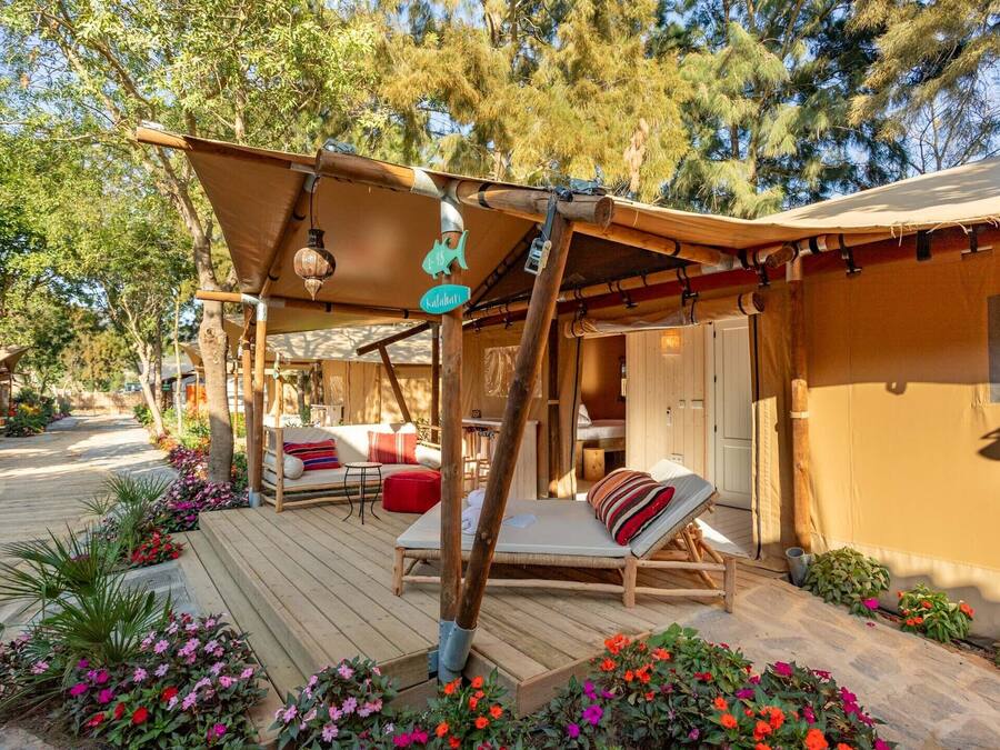 Family Tent | Terrace/patio