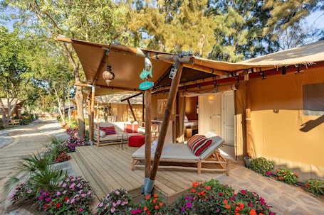 Terraza o patio. Dunas Tarifa