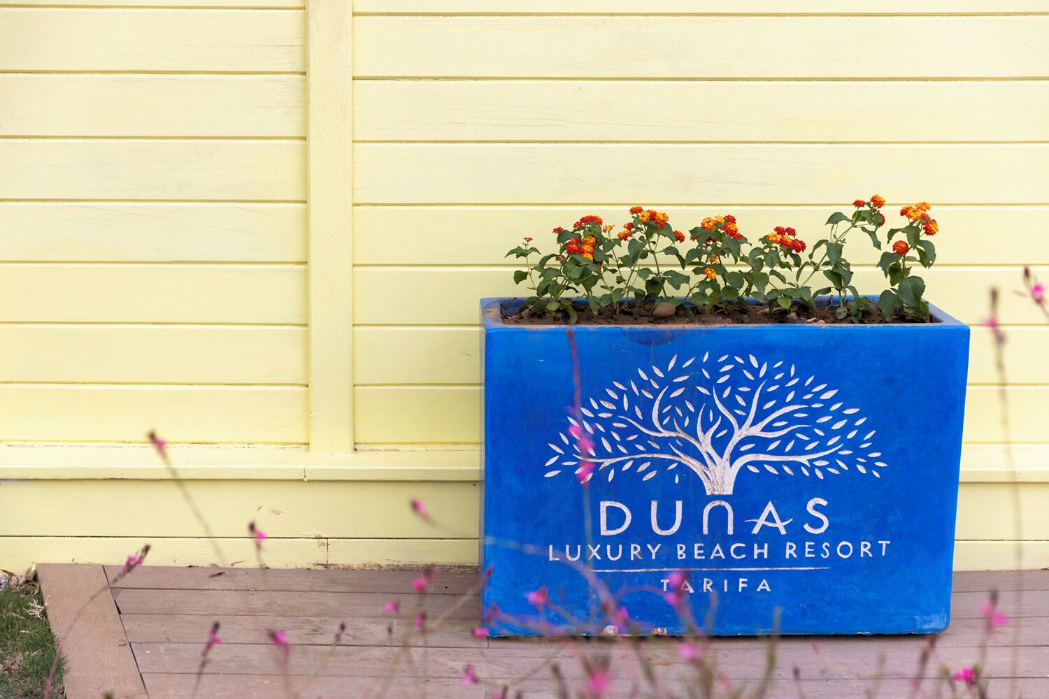 A blue planter with a tree design and the text "DUNAS LUXURY BEACH RESORT TARIFA" on a yellow building facade.