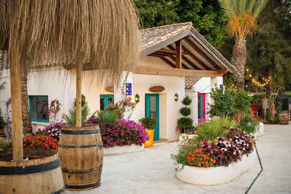 A building with a rustic exterior, wooden barrel planters, and a variety of flowering plants. - Dunas Tarifa (Tarifa)