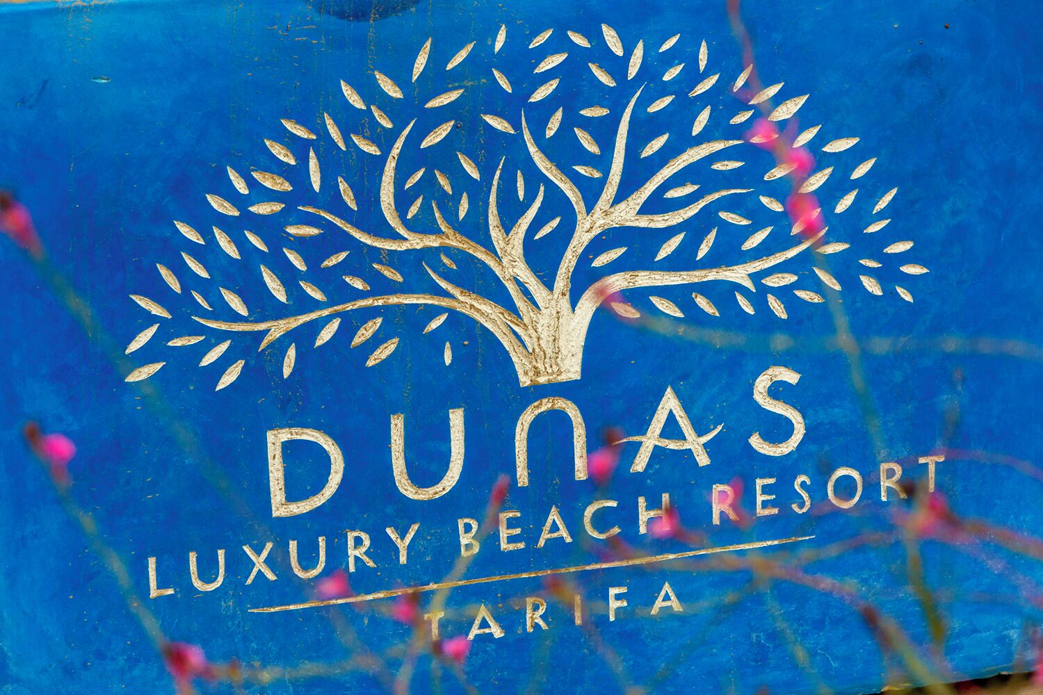 Foto - Dunas Luxury Beach Resort Tarifa