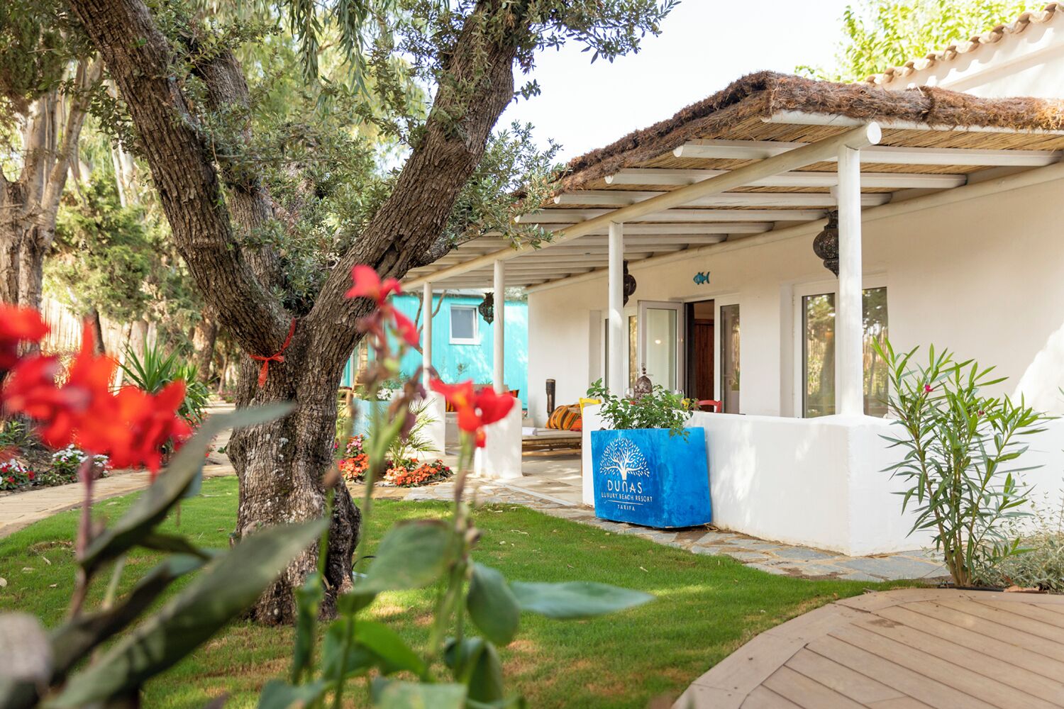 Foto - Dunas Luxury Beach Resort Tarifa