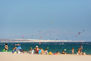 A beach with people, tents, and kites.