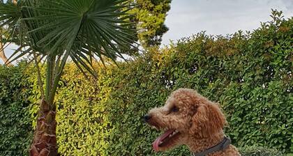 Villa with apartment and big garden share