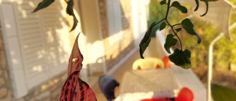 Opções para refeição ao ar livre