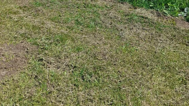 Una playa con arena, un edificio pequeño y una zona con césped al frente.